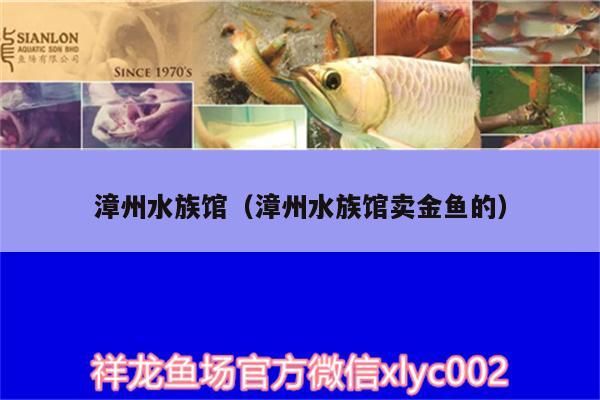 漳州水族館(漳州水族館賣金魚的)(廈門旅游攻略之漳州水族館) 觀賞魚百科 第3張 漳州水族館(漳州水族館賣金魚的)(廈門旅游攻略之漳州水族館) 漳州水族館(漳州水族館賣金魚的)(廈門旅游攻略之漳州水族館) 觀賞魚百科 第3張