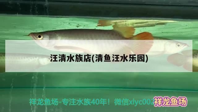 <strong><mark>汪清</mark></strong>水族店(清魚汪水樂園)（東莞<strong><mark>汪清</mark></strong>水族店和清魚汪水樂園的專業市場介紹到此就結束了）