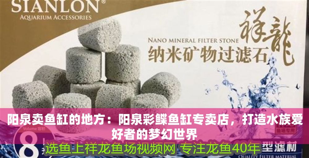 陽泉賣魚缸的地方：陽泉彩鰈魚缸專賣店，打造水族愛好者的夢幻世界（彩鰈魚缸專賣店）