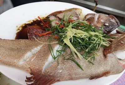 杜龍魚生活在哪里（杜龍魚主要棲息在咸淡水交界的入海口處的復雜生態環境） 杜龍魚生活在哪里（杜龍魚主要棲息在咸淡水交界的入海口處的復雜生態環境） 觀賞魚百科 第5張