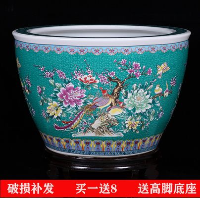 吉龍魚缸哪生產(chǎn)的最好用（吉龍魚缸哪生產(chǎn)的最好用呢）（吉龍魚缸哪生產(chǎn)的最好用）