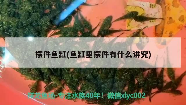 擺件魚缸(魚缸里擺件有什么講究)（擺件魚缸擺放的注意事項和注意事項,魚缸擺放的注意事項）