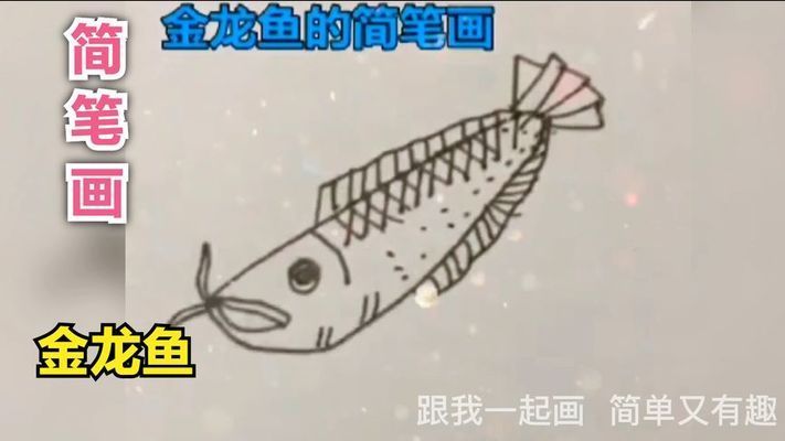 鹽城哪里有魚缸賣的啊（鹽城魚缸在哪買）（沈陽哪里有賣魚缸的？）