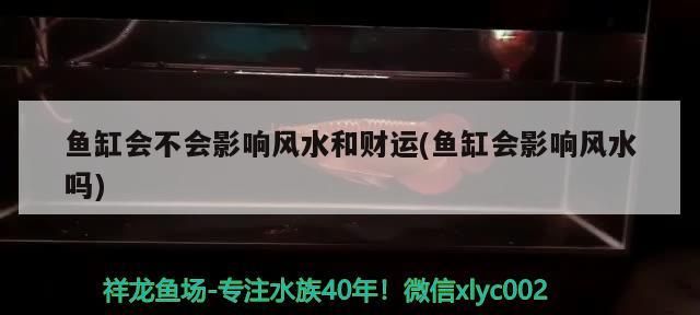魚(yú)缸會(huì)不會(huì)影響風(fēng)水和財(cái)運(yùn)(魚(yú)缸會(huì)影響風(fēng)水嗎)（魚(yú)缸會(huì)不會(huì)影響風(fēng)水和財(cái)運(yùn)）