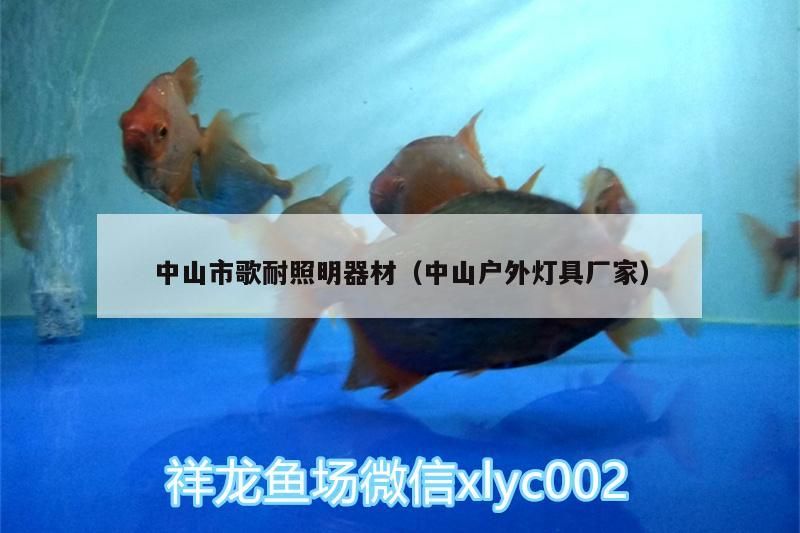 中山市歌耐照明器材（中山戶外燈具廠家）（中山市歌耐照明器材）