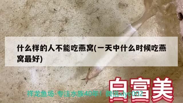 寧德觀賞魚養(yǎng)殖企業(yè)名單查詢(寧德觀賞魚養(yǎng)殖企業(yè)名單查詢電話)（寧德市觀賞魚養(yǎng)殖企業(yè)名單查詢）