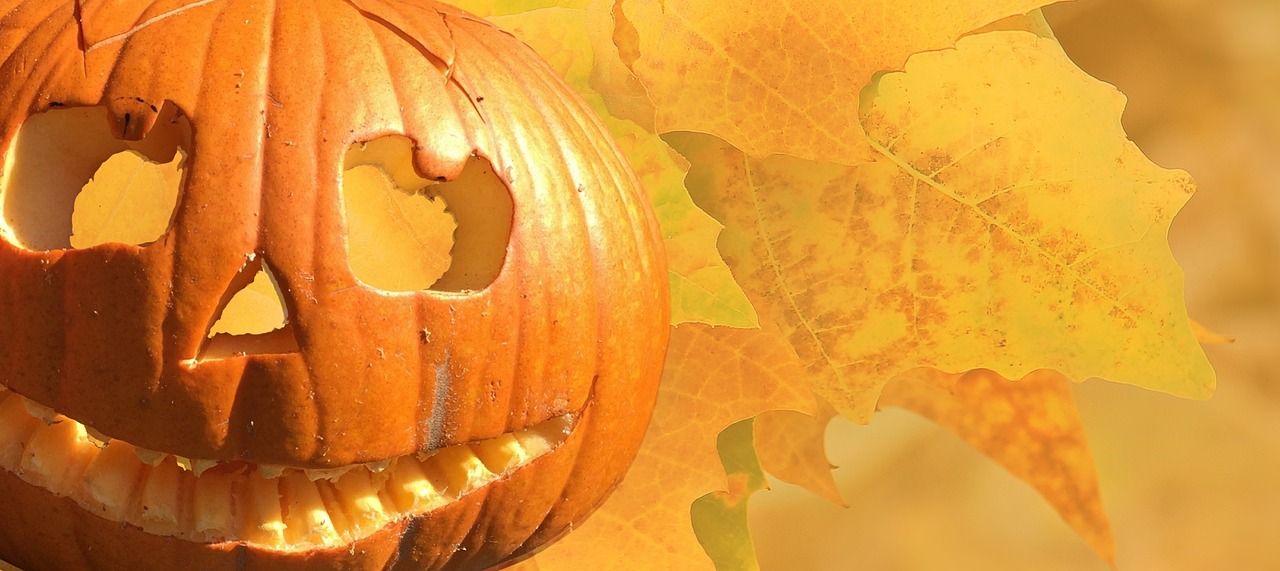 red紅龍官網（紅龍官方網站）（red紅龍官方網站）
