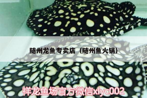 隨州龍魚專賣店（隨州魚火鍋）（湖北隨州龍魚專賣店）