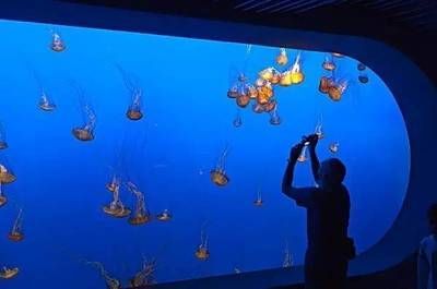 渭南水族館：渭南水族館住宿體驗可麗愛水族館住宿體驗可麗愛水族館 渭南水族館：渭南水族館住宿體驗可麗愛水族館住宿體驗可麗愛水族館 觀賞魚百科 第2張