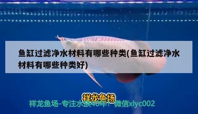 魚缸過濾凈水材料有哪些種類(魚缸過濾凈水材料有哪些種類好)（魚缸過濾凈水材料） 魚缸過濾凈水材料有哪些種類(魚缸過濾凈水材料有哪些種類好)（魚缸過濾凈水材料） 觀賞魚百科