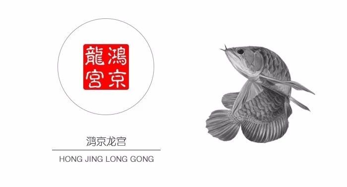 一龍一神話九洲育傳奇（一龍一神話九洲育傳奇印尼鴻京龍宮(紅龍)養殖場）