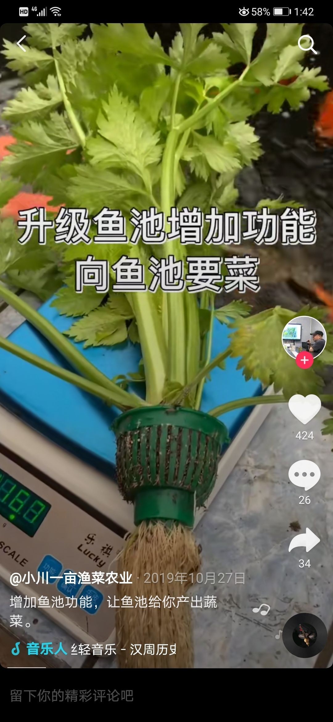 瞎做的樓頂小池（瞎做的樓頂小池，本文探討了個人在樓頂建造小型水景的實踐活動） 瞎做的樓頂小池（瞎做的樓頂小池，本文探討了個人在樓頂建造小型水景的實踐活動） 觀賞魚百科 第7張