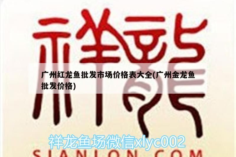 金龍魚喜歡什么顏色的燈光:金龍魚選擇什么顏色的燈光?（金龍魚喜歡什么顏色的燈光，）