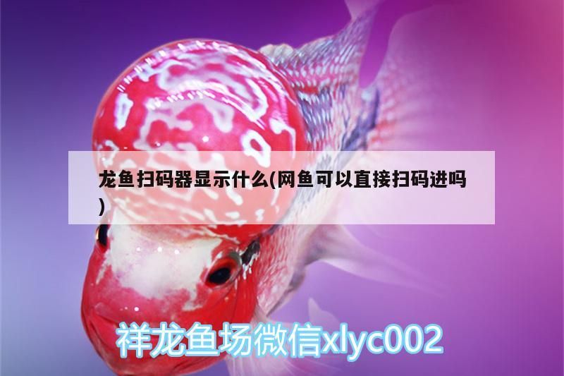 金龍魚 龍魚掃碼器顯示什么(網魚可以直接掃碼進嗎)(龍魚掃碼器顯示什么) 觀賞魚百科 龍魚掃碼器顯示什么(網魚可以直接掃碼進嗎)(龍魚掃碼器顯示什么) 龍魚掃碼器顯示什么(網魚可以直接掃碼進嗎)(龍魚掃碼器顯示什么) 觀賞魚百科