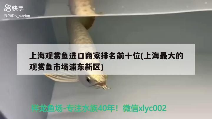 上海觀賞魚進口商家排名前十位(上海最大的觀賞魚市場浦東新區)（上海觀賞魚進口商家排名）