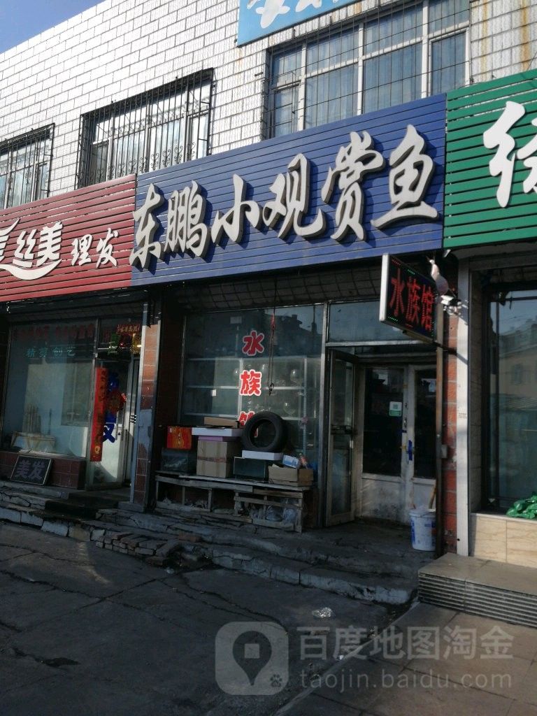 北林區(qū)龍魚（北林區(qū)龍魚養(yǎng)殖技術(shù)）