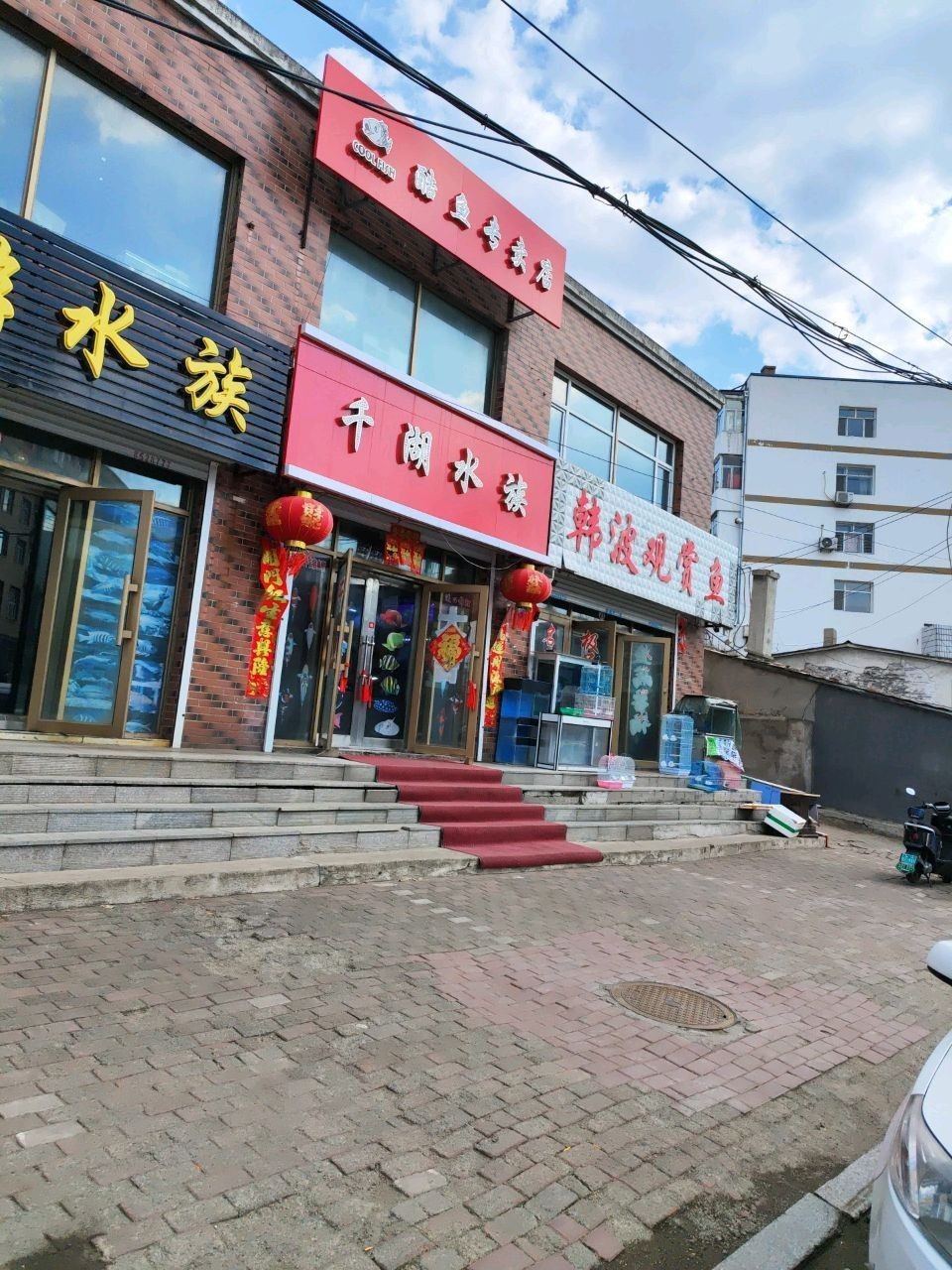 北林區(qū)龍魚（北林區(qū)龍魚養(yǎng)殖技術(shù)）
