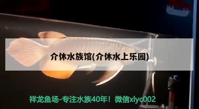 <strong><mark>介休</mark></strong>水族館(<strong><mark>介休</mark></strong>水上樂園)