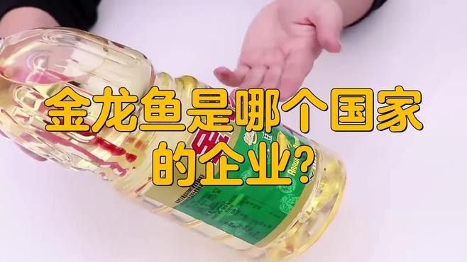 金龍龍魚是哪里的品牌（金龍魚是哪個國家的云課先鋒馮杰頻道金龍魚是哪個國家的云課先鋒）