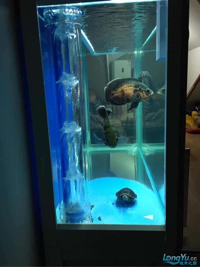 自己改的下慮算不算空氣剛？（“自己改的下慮算不算空氣剛”是否等同于原創(chuàng)性，空氣剛）