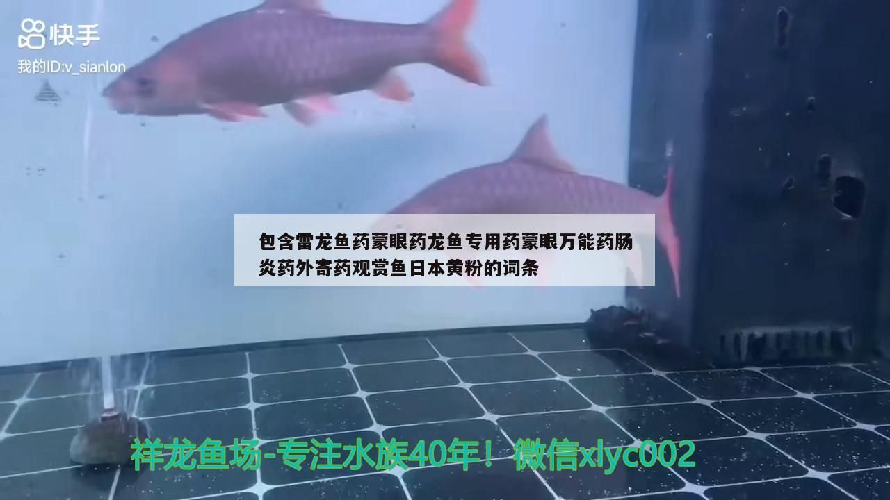 包含雷龍魚藥蒙眼藥龍魚專用藥蒙眼萬能藥腸炎藥外寄藥觀賞魚日本黃粉的詞條（雷龍魚專用藥蒙眼萬能藥蒙眼萬能藥外寄藥觀賞魚日本黃粉）