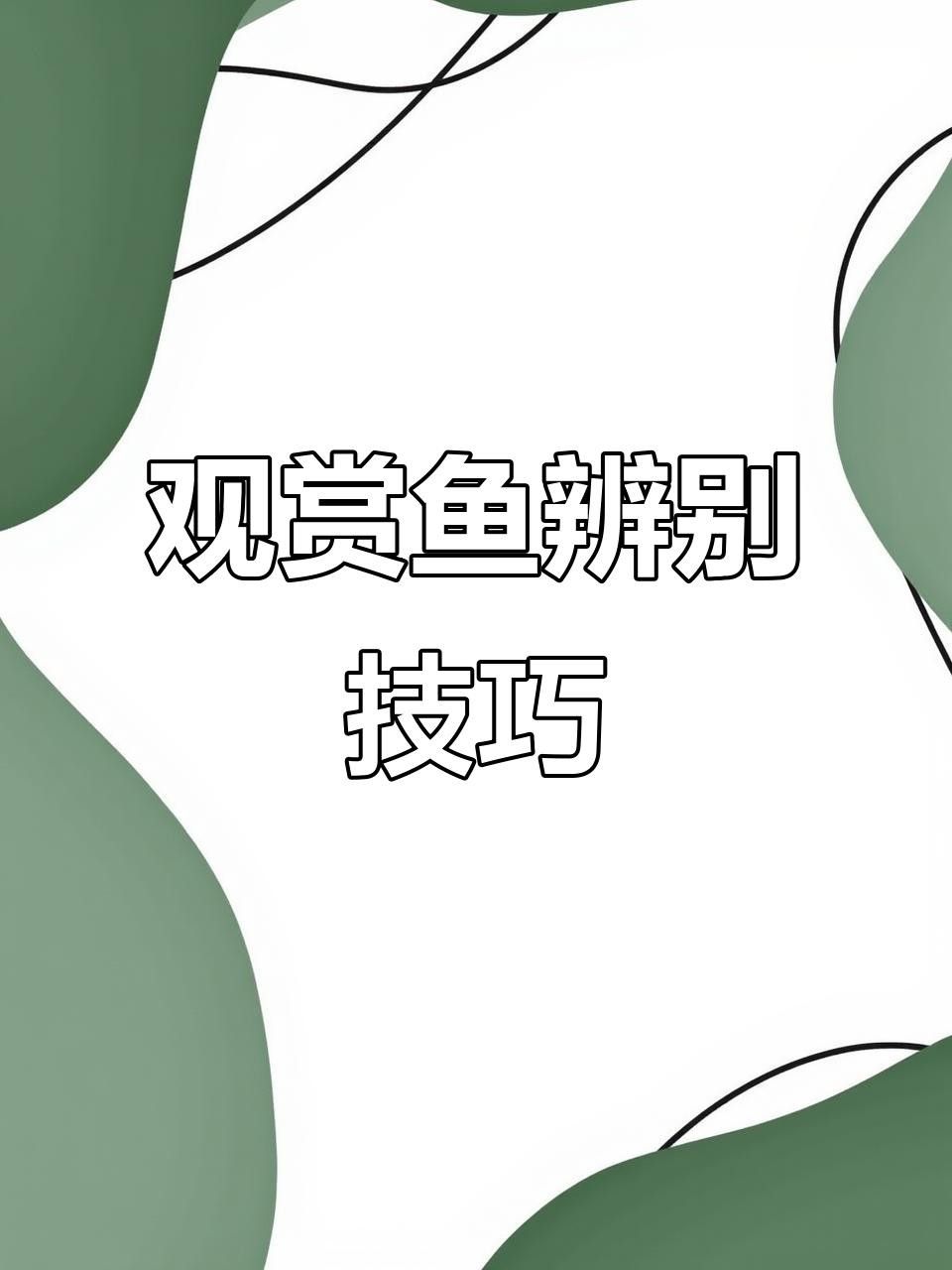 伊巴卡和薩伊藍區別（伊巴卡和薩伊藍的區別）