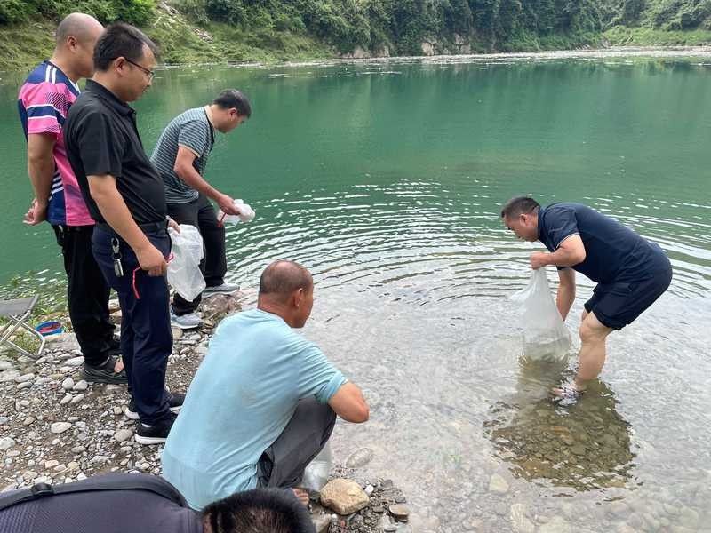永順龍魚（是否會鑒別一種龍在亞洲，一起來看一看）