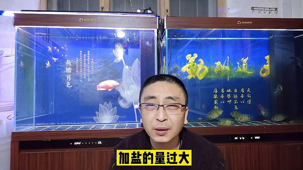 觀賞魚魚病的診斷與防治（觀賞魚魚病的診斷與防治方法）