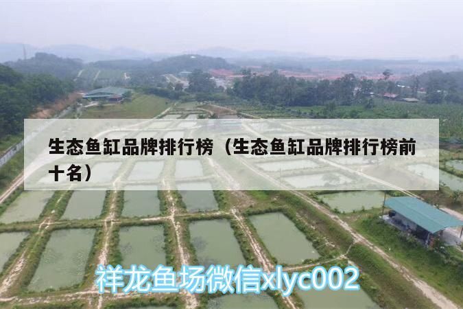 生態魚缸品牌排行榜（生態魚缸品牌排行榜前十名）（2020年度中國生態魚缸行業十大品牌榜單品牌排行榜）
