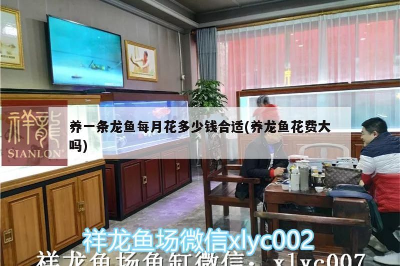 如何判斷龍魚是否體型畸形，如何判斷龍魚是否出現體型畸形 如何判斷龍魚是否體型畸形，如何判斷龍魚是否出現體型畸形 龍魚百科 第2張