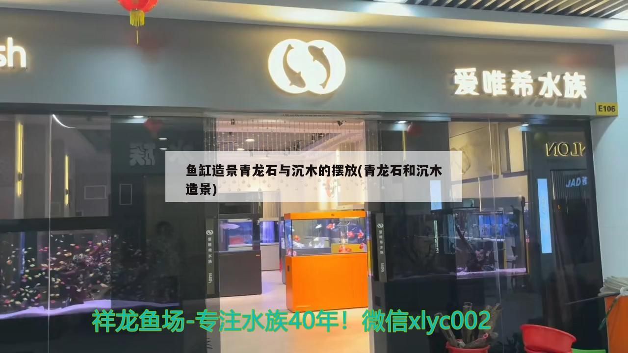 魚缸造景青龍石與沉木的擺放(青龍石和沉木造景)（魚缸造景之青龍石與沉木的擺放） 魚缸造景青龍石與沉木的擺放(青龍石和沉木造景)（魚缸造景之青龍石與沉木的擺放） 觀賞魚百科