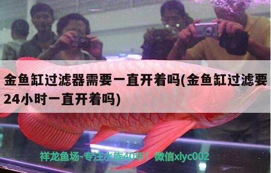 魚缸過濾器選購指南:自制魚缸過濾器魚缸上置過濾器對于養魚愛好者的必備知識 金魚缸過濾器需要一直開著嗎(金魚缸過濾要24小時一直開著嗎)(金魚缸過濾器需要一直開著嗎) 觀賞魚百科 金魚缸過濾器需要一直開著嗎(金魚缸過濾要24小時一直開著嗎)(金魚缸過濾器需要一直開著嗎) 金魚缸過濾器需要一直開著嗎(金魚缸過濾要24小時一直開著嗎)(金魚缸過濾器需要一直開著嗎) 觀賞魚百科