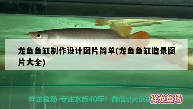 龍魚魚缸制作設(shè)計圖片簡單(龍魚魚缸造景圖片大全)（龍魚魚缸制作與設(shè)計） 龍魚魚缸制作設(shè)計圖片簡單(龍魚魚缸造景圖片大全)（龍魚魚缸制作與設(shè)計） 觀賞魚百科