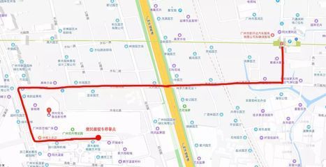 芳村花鳥魚蟲新世界地鐵幾號線（廣州芳村花鳥魚蟲新世界） 芳村花鳥魚蟲新世界地鐵幾號線（廣州芳村花鳥魚蟲新世界） 觀賞魚百科 第4張