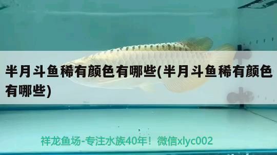 魚缸過濾器選購指南:自制魚缸過濾器魚缸上置過濾器對于養魚愛好者的必備知識 半月斗魚稀有顏色有哪些(半月斗魚稀有顏色有哪些)(半月斗魚稀有顏色有哪些) 觀賞魚百科 半月斗魚稀有顏色有哪些(半月斗魚稀有顏色有哪些)(半月斗魚稀有顏色有哪些) 半月斗魚稀有顏色有哪些(半月斗魚稀有顏色有哪些)(半月斗魚稀有顏色有哪些) 觀賞魚百科
