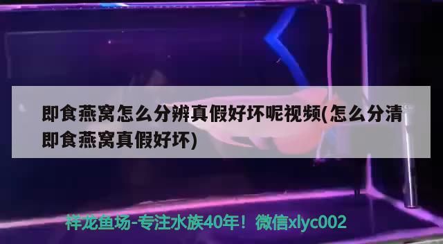 即食燕窩怎么分辨真假好壞呢視頻(怎么分清即食燕窩真假好壞)（即食燕窩怎么分辨真假好壞呢）