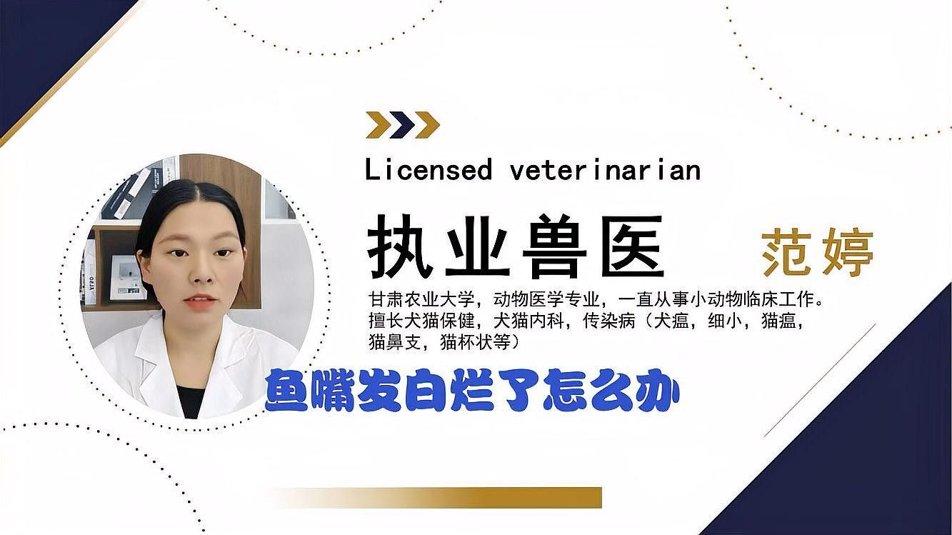魚嘴發(fā)白潰爛用什么藥最好（煙雨樓治療魚爛嘴土方法學(xué)途里里魚爛嘴最快解決方法）