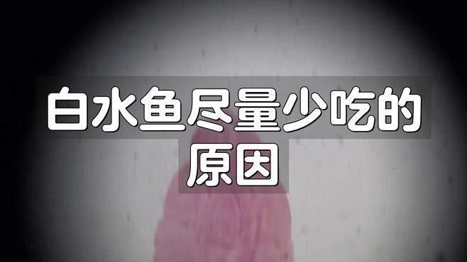 長(zhǎng)白龍魚為何要少吃（白魚為何要少吃） 長(zhǎng)白龍魚為何要少吃（白魚為何要少吃） 觀賞魚百科 第4張