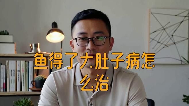 金龍魚(yú)腹部（關(guān)于金龍魚(yú)腹部的知識(shí)）