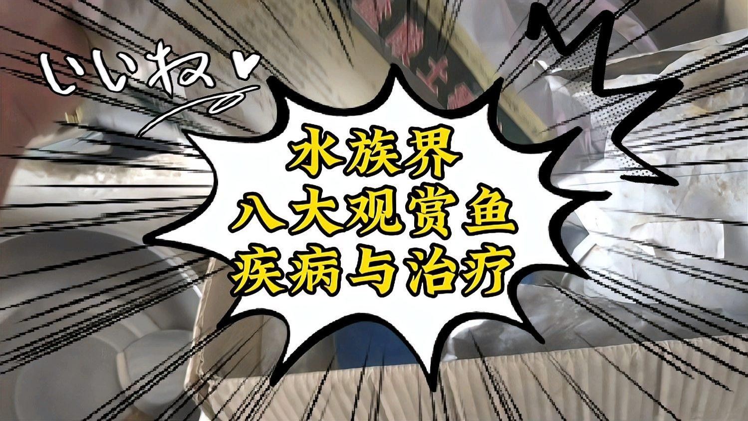 魚的病有哪些種類（莊戶人水族魚有這幾種表現不是水霉就是白點最簡單有效） 魚的病有哪些種類（莊戶人水族魚有這幾種表現不是水霉就是白點最簡單有效） 觀賞魚百科 第6張