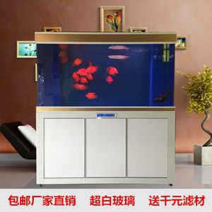 龍魚晚上趴缸白天起來就死了（龍魚晚上趴缸白天起來就死了什么原因）（為什么龍魚晚上趴缸白天起來就死了） 龍魚晚上趴缸白天起來就死了（龍魚晚上趴缸白天起來就死了什么原因）（為什么龍魚晚上趴缸白天起來就死了） 觀賞魚百科