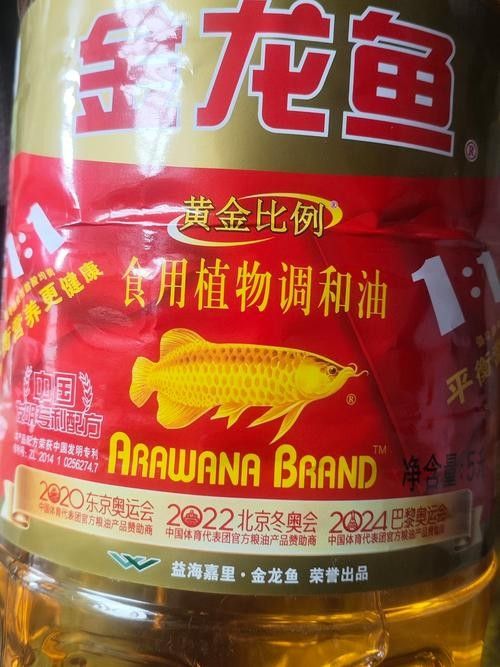 淄博金龍魚（淄博金龍魚是什么企業） 淄博金龍魚（淄博金龍魚是什么企業） 觀賞魚百科 第5張
