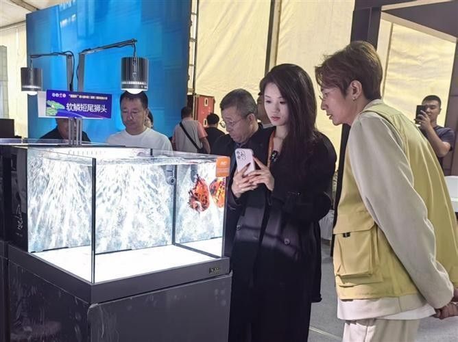 淄博金龍魚（淄博金龍魚是什么企業） 淄博金龍魚（淄博金龍魚是什么企業） 觀賞魚百科 第13張