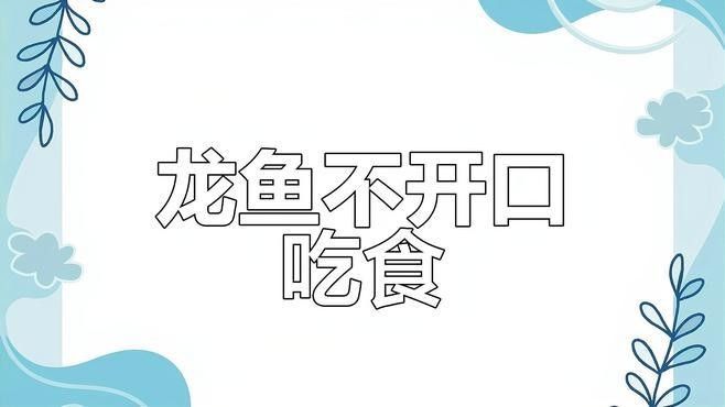 龍魚不吃飼料最忌三種東西（龍魚不吃飼料時最忌三種東西）