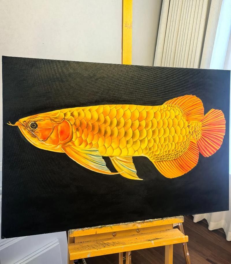 魚金龍(觀賞魚金龍紅龍魚紅龍魚掉鱗片分析原因有哪些) 觀賞魚百科 第4張 魚金龍(觀賞魚金龍紅龍魚紅龍魚掉鱗片分析原因有哪些) 魚金龍(觀賞魚金龍紅龍魚紅龍魚掉鱗片分析原因有哪些) 觀賞魚百科 第4張