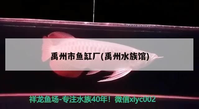 禹州市魚缸廠(禹州水族館)（禹州市魚缸廠）