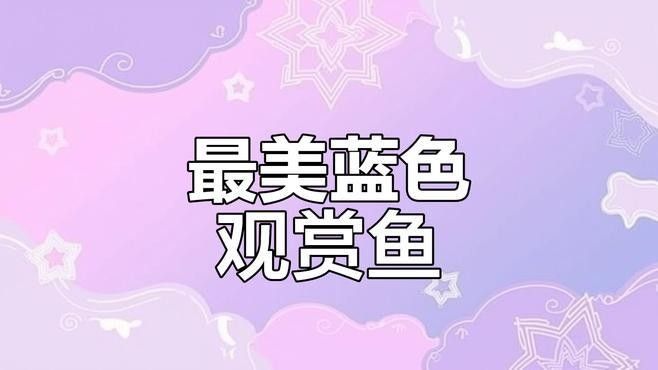 常見的藍色觀賞魚品種（常見的藍色觀賞魚品種介紹）