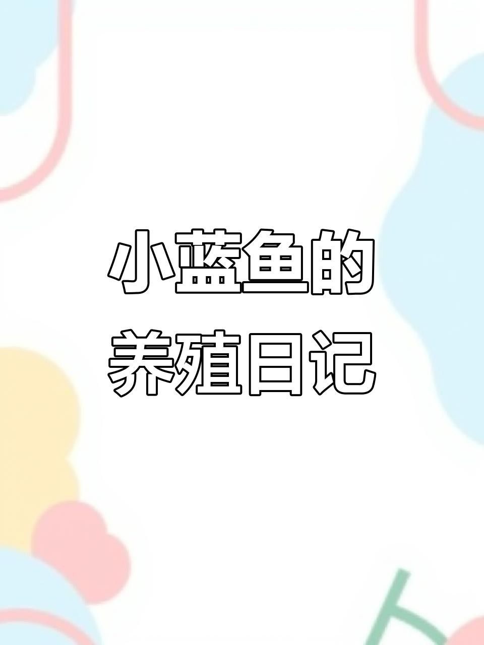 常見的藍色觀賞魚品種（常見的藍色觀賞魚品種介紹）