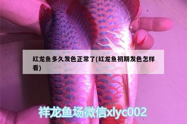 駐馬店魚缸批發市場:駐馬店魚缸批發市場(駐馬店魚缸批發市場在哪里 觀賞魚百科 第4張 駐馬店魚缸批發市場:駐馬店魚缸批發市場(駐馬店魚缸批發市場在哪里 駐馬店魚缸批發市場:駐馬店魚缸批發市場(駐馬店魚缸批發市場在哪里 觀賞魚百科 第4張