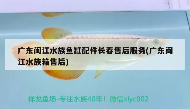 廣東閩江水族魚缸配件長春售后服務(wù)(廣東閩江水族箱售后)（廣東閩江水族十大名牌）